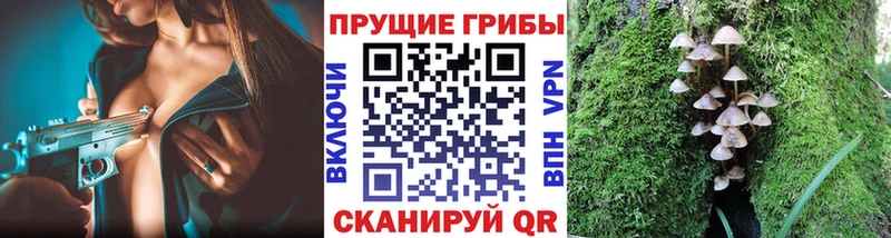 Псилоцибиновые грибы Cubensis  нарко площадка официальный сайт  Макарьев 